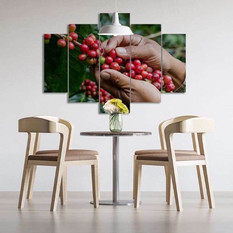 Comprar Cafe 05 en Electroshopy